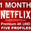 NETFLIX   4k 5 PROFILES 1 MONTH