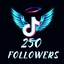 TikTok 250 Followers