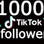 TikTok 1000 Followers (Real & Guarrented)