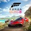 Forza Horizon 5 [Microsoft] Online