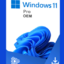 Windows 10 & 11 Pro 1PC Key Online