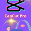 2*CAPCUT PRO PREMIUM ACCOUNTS /GLOBAL-1 month