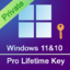 Windows 10/11 Pro  32/64