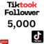 5000 Tiktok follower Real None Drop