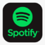 6 month | Spotify Premium Subscription