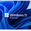 Windows 11 Enterprise Windows Key (Global)