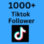 1000+ Tiktok Follower Fast Delivery None Drop