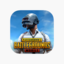 PUBG Mobile 300+25 UC E-pin/Code