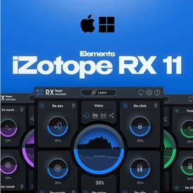 iZotope RX Elements 11 Key