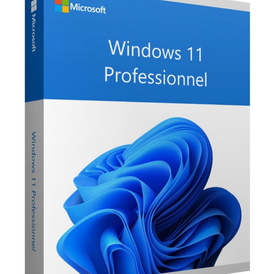 ♻️ 45 x Windows 11 Professional OEM Keys