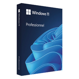 Microsoft Windows 11 Pro OEM (PC) - GLOBAL