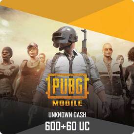 PUBG MOBILE 660UC PUBG - GLOBAL PIN stockab