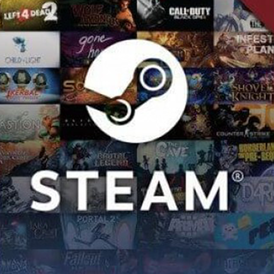 Steam 500 INR Wallet Card