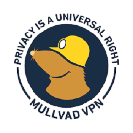 🔥 Grab Your Mullvad VPN Slot – Privacy at It