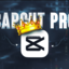 CAPCUT PRO ACCOUNT - 1 month - online only