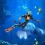 Subnautica steam PC key global