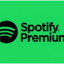 Spotify Premium 3 Month ur private account