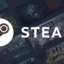 STEAM USA 100$