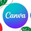 CanvaProfessional Owner Account 500 users