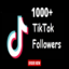 premium 1k(1000)  tiktok followers