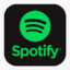 Spotify Premium 12 Months Subscription