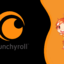 12 Months Crunchyroll Mega Fan (Private)