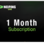 NoPing VPN Subscription 1 Month