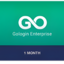 GoLogin Enterprise 1 Month