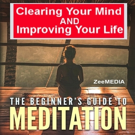 The Beginner's Guide To Meditation E-Book