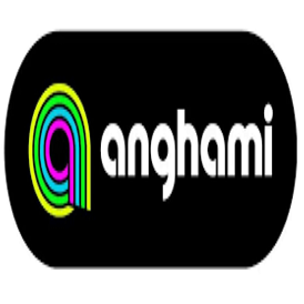 Anghami 3-month ( LEB ) subscription