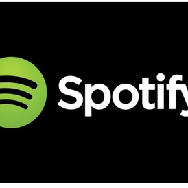 Spotify India - 12 Months Gift card(50QTY)