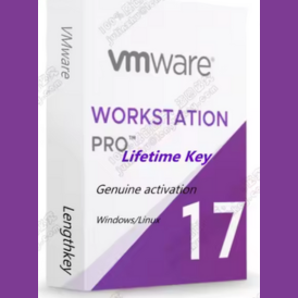 VMware Workstation Pro 17  Windows/Linux