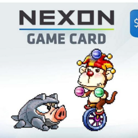 NEXON GAME CARD 25$