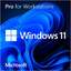 Windows 11 Pro for Workstation Lifetime