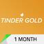 Tinder Gold 1 Month BR KEY / BRAZIL