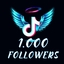 TikTok 1000 Followers