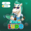 Yalla Ludo - USD 25 GOLD