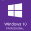 Windows 10 Pro Key - Global