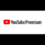 12-Month Youtube Premium