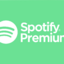 Spotify 12m Indvidual 10x BUNDLE