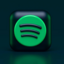 Spotify Premium 12 Months | Private Account