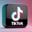 Tiktok 1000 video Share