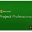 Microsoft Project 2019 Professional