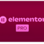 Elementor Pro Plugin Original - 1 Year