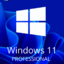 WINDOWS 11