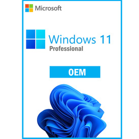 Windows10/11 Pro OEM Online 1 Pc Key