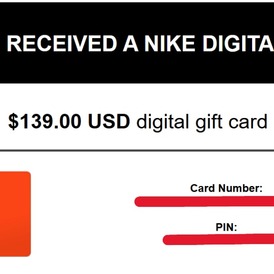 Nike Gift Card 139 USD