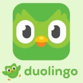 Duolingo Plus 1 Year