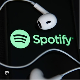 Spotify India -12 Months Gift card(Stockable)