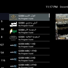 VIP premium Arabic IPTV